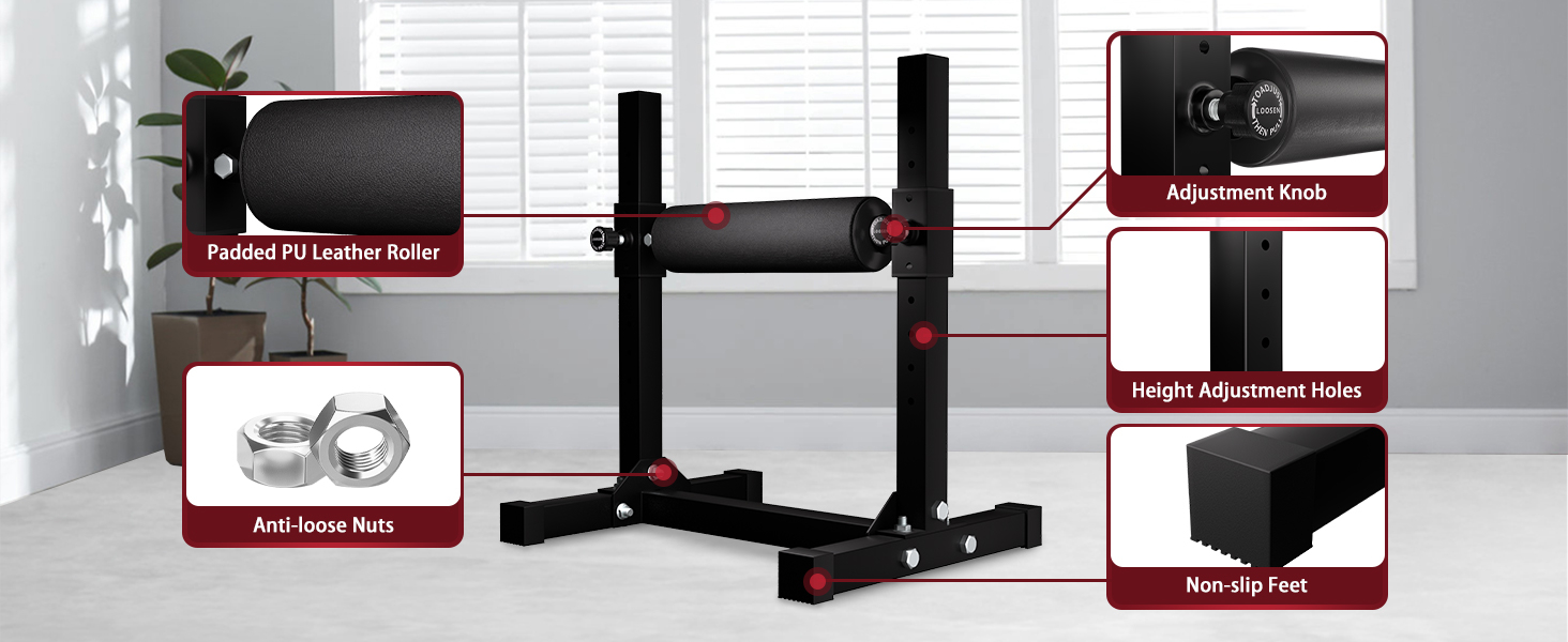Bulgarian Split Squat Stand