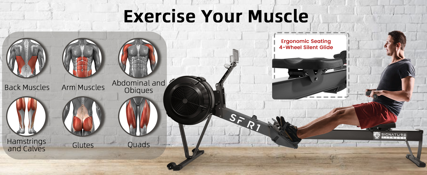 Professional Indoor Rowing Machine