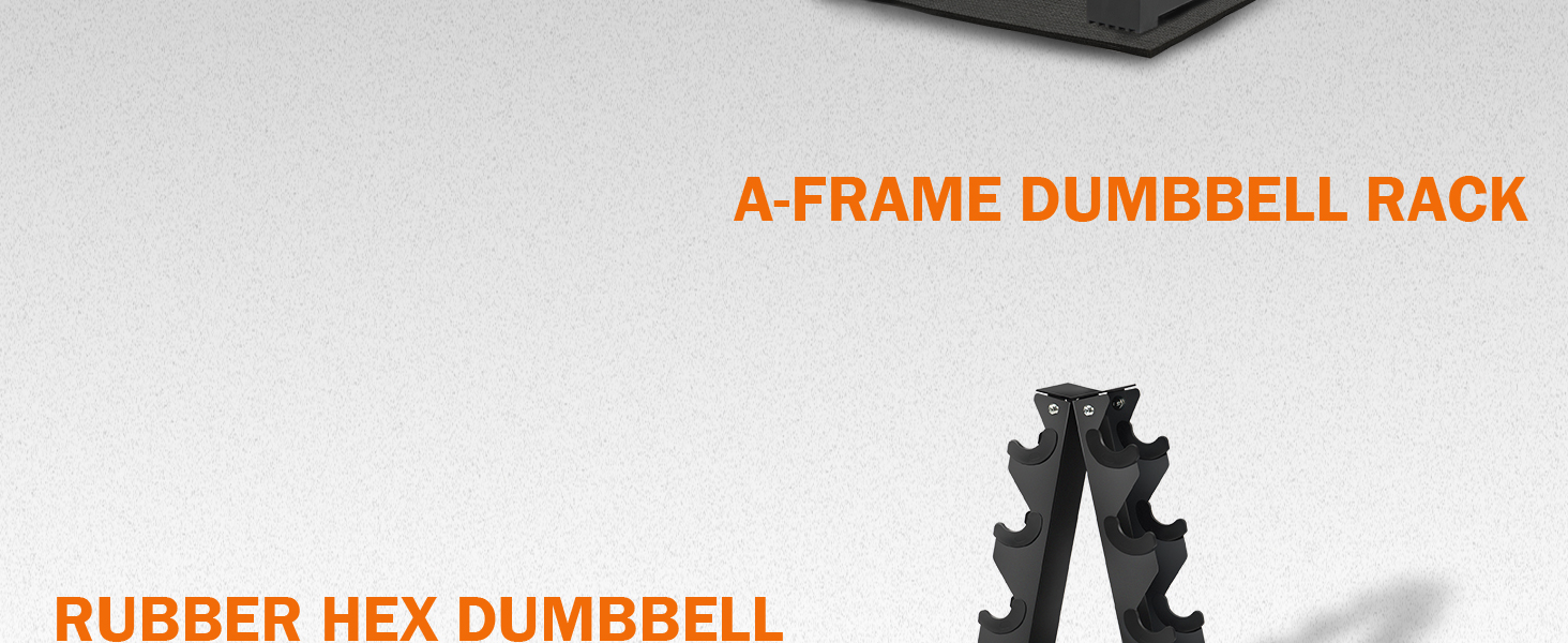 weights dumbbells set